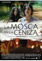 LA MOSCA EN LA CENIZA