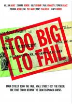 TOO BIG TO FAIL