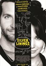 EL LADO LUMINOSO DE LA VIDA - THE SILVER LINING PLAYBOOK