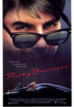 NEGOCIOS RIESGOSOS - RISKY BUSINESS-