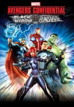 AVENGERS:LOS ARCHIVOS SECRETOS-BLACK WIDOW Y PUNISHER