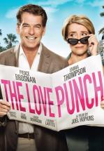 LOVE PUNCH -DVD-