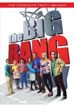 THE BIG BANG THEORY SEASON 10 