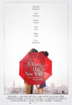UN D&Iacute;A LLUVIOSO EN NUEVA YORK