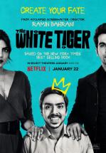 TIGRE BLANCO