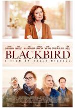 LA DECISI&Oacute;N (BLACKBIRD)