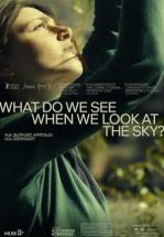 WHAT DO WE SEE WHEN WE LOOK AT THE SKY?