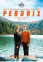 PERDRIX (LA NECESIDAD DESNUDA)