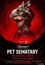 CEMENTERIO DE ANIMALES: EL ORIGEN
